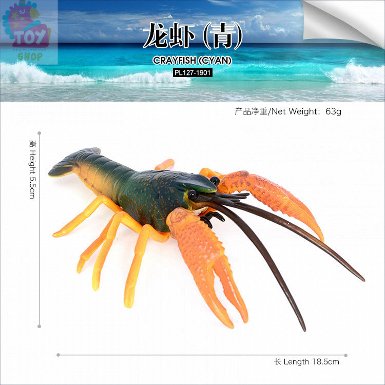 ของเล่นการศึกษาสำหรับเด็ก โมเดลล็อบสเตอร์จำลอง ของตกแต่ง ล็อบสเตอร์ขนาดใหญ่ อุปกรณ์ช่วยสอนสำหรับเด็ก - รูปที่ 4