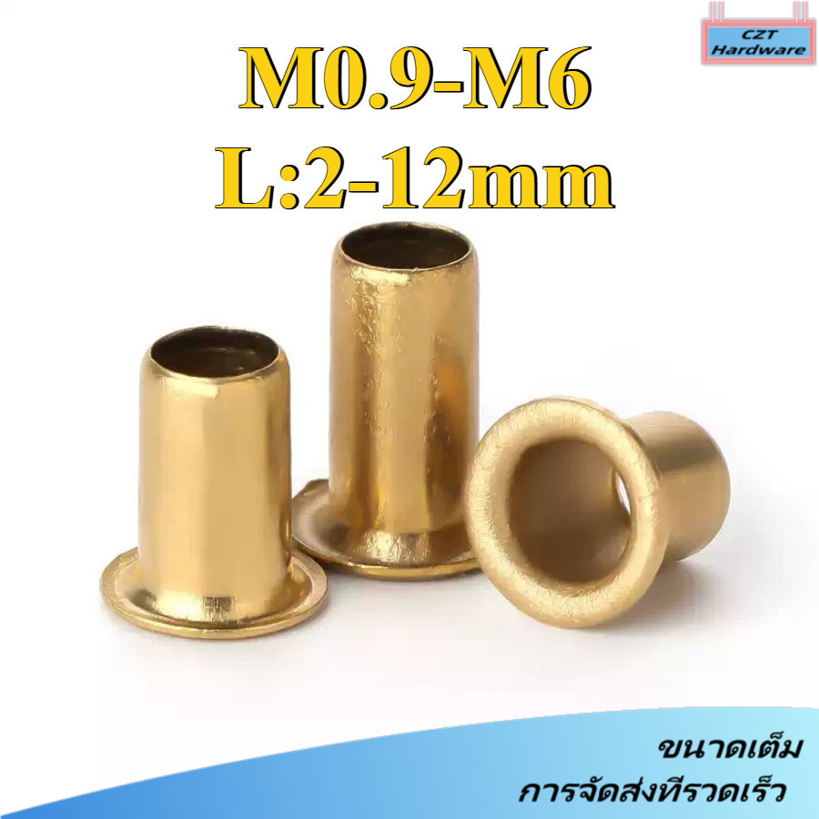 ตัวเสียบสายท่อ ท่อเสียบ สอดท่อ สอดสาย ไส้ไก่ ทองเหลือง PT / Tube Compression Insert, Brass M0.9-M6 (