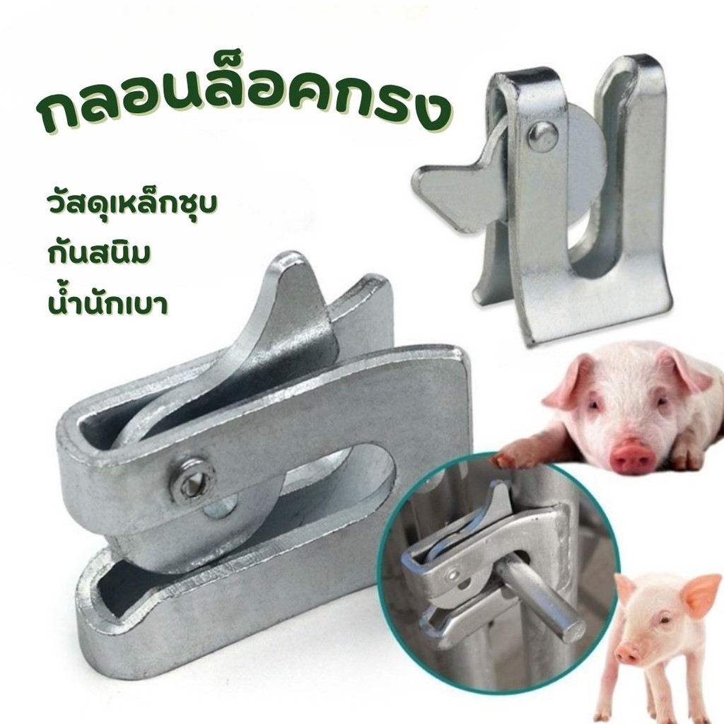 กลอนล็อคกรง หมู สุนัข หมู กลอนคอกหมู ประตู แบบหางปลา Pig Door Latch Lock #AL-0001