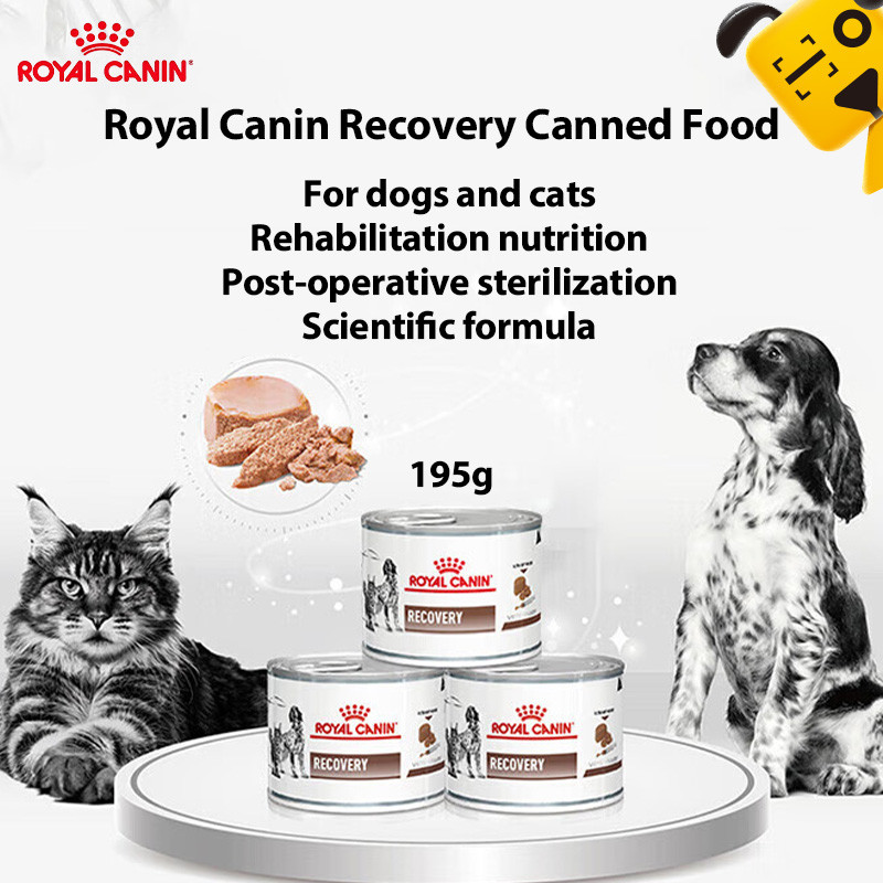 Royal Canin Veterinary Diet Pets Recovery อาหารเปียก 195g โพสต์การทํางาน Convescence Cat Dog Nutriti