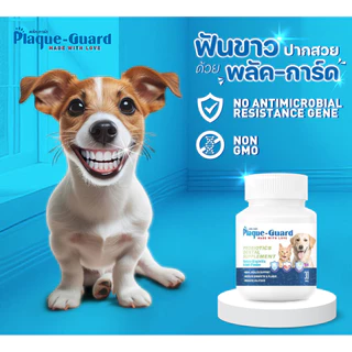 Plaque-Guard ขนมขัดฟันน้องหมา 60 เม็ด ลดกลิ่นปาก,คราบหินปูน เสริมโพรไบโอติก Probiotics Dental Supplement