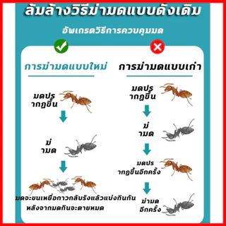 💥 100%ได้ผล 💥 เจลกำจัดมด กำจัดมด ยากำจัดมด 8 ชิ้น/กล่อง เป็นมิตรต่อคนและสัตว์เลี้ยงมาก เจลฆ่ามด ant killer