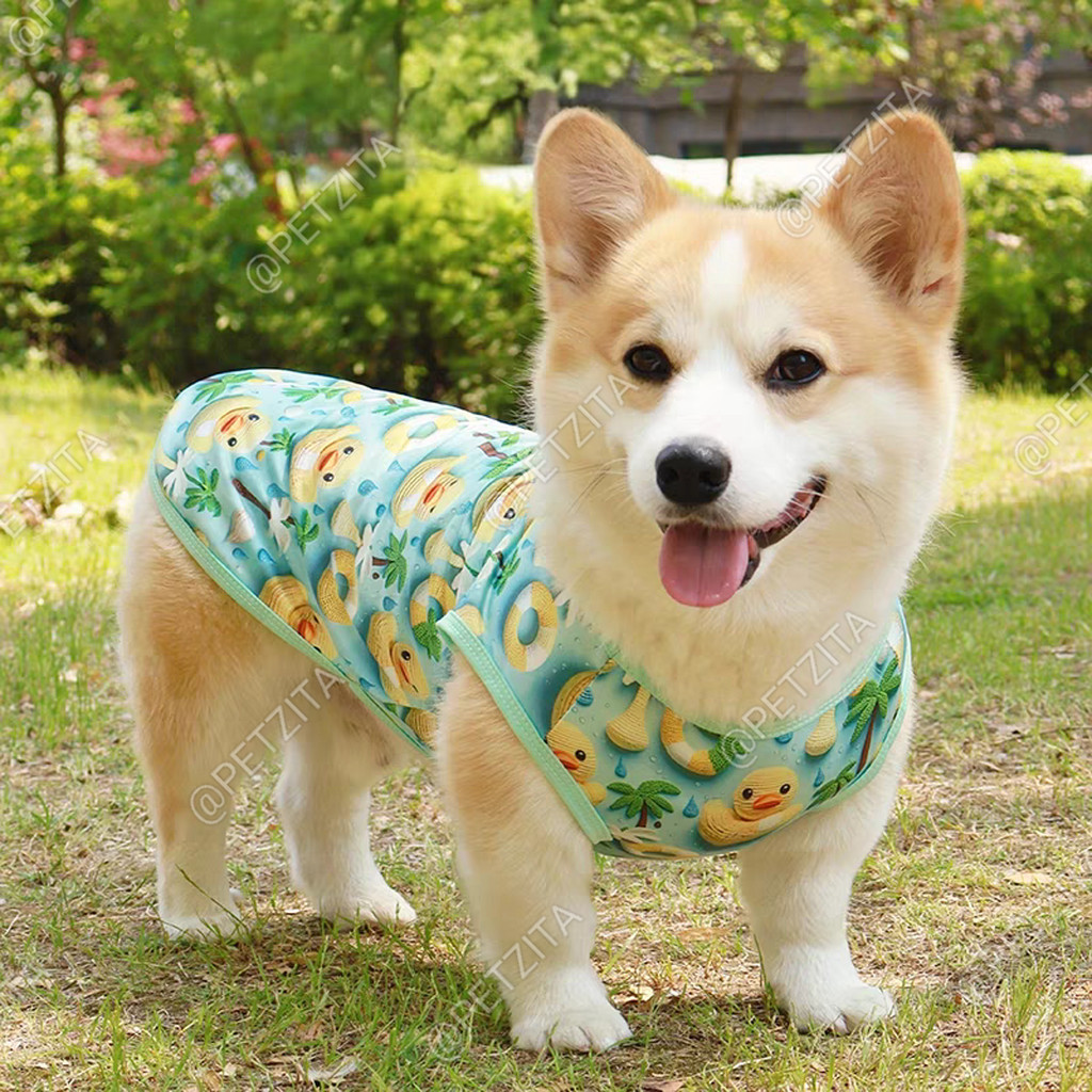 🇹🇭พร้อมส่ง🇹🇭🔶มีไซส์XS-6XLใหญ่💥 เสื้อแขนกุดลายสามมิติ น่ารักมาก ผ้าใส่สบายจ้า เสื้อสุนัข หมาใหญ่ หมา ชุดแมว - รูปที่ 6