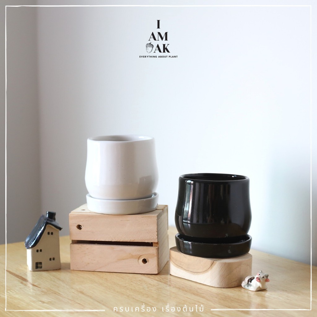 กระถางเซรามิกทรงไข่ตุ๋น เหมาะใส่กับต้นไม้จากกระถาง 3 นิ้ว เซรามิคอย่างดี