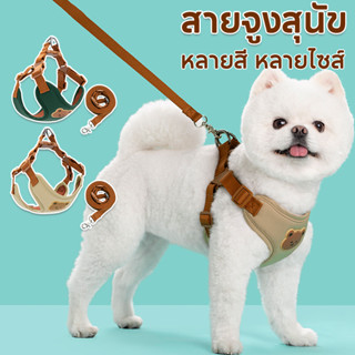 สายจูงสุนัข เสื้อรัดอกสุนัข เสื้อรัดอกแมว สายจูงสัตว์เลี้ยง …
