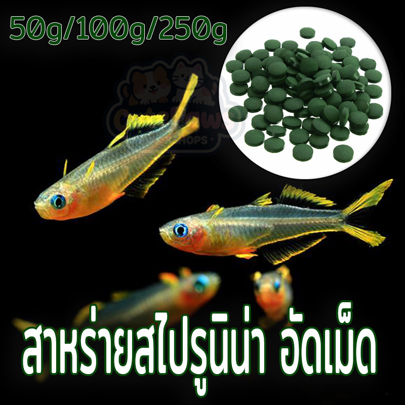 สาหร่ายสไปรูนิน่า อัดเม็ด 100 กรัม SPIRULINA​ อาหารปลาตะกั่วล่าง สําหรับตู้ปลา