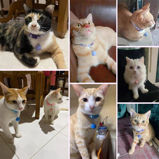 3สี (สองลาย) ปลอกคอแมว ปลอกคอสุนัข สีแคนดี้ สําหรับสัตว์เลี้ยง แมว สุนัข กระดิ่ง CW89