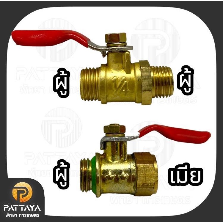 ปั๊มพ่นยาสามสูบ 6หุน LOTA ฟรี!สายพานและก๊อกทองเหลืองเพิ่ม 2 อัน ปั๊มพ่นยา ปั๊มสามสูบ