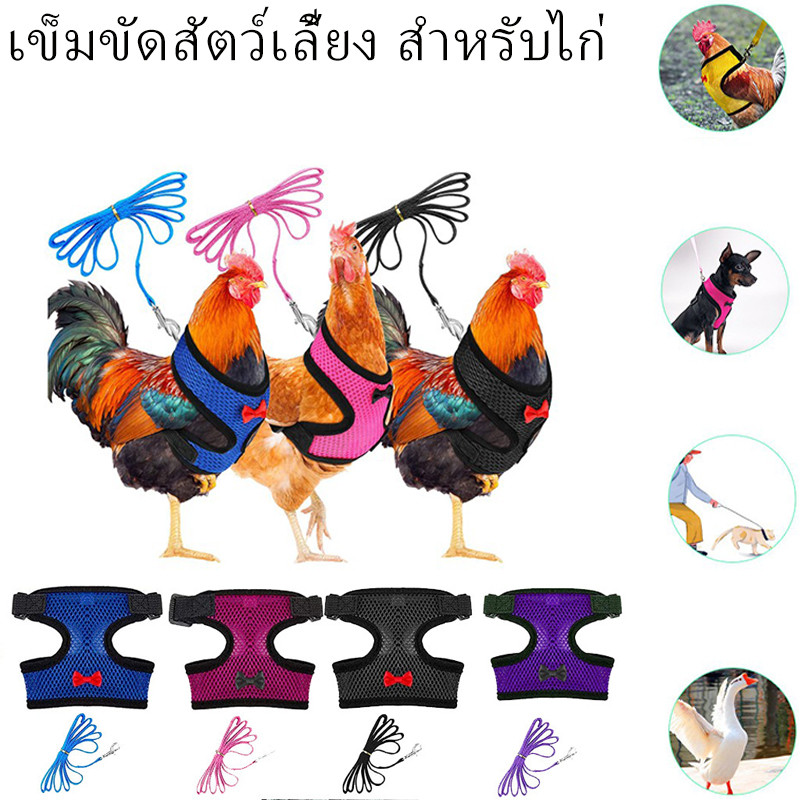 เข็มขัดสัตว์เลี้ยง สําหรับไก่ สายรัดไก่ ปรับได้ พร้อมสายจูง เสื้อกั๊กสัตว์เลี้ยง ระบายอากาศได้