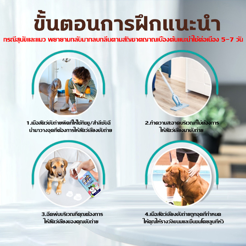 ขับถ่ายประจำที่❗❗❗ ฝึกฉี่สุนัข ฝึกแมวฉี่ ฝึกฉี่ ฝึกสุนัขฉี่ สเปรย์ฝึกสุนัขขับถ่าย  สเปรย์ฝึกการขับถ่าย ราคา ถูกที่สุด ดีลบีเคเค แกลเลอรีภาพที่ 4