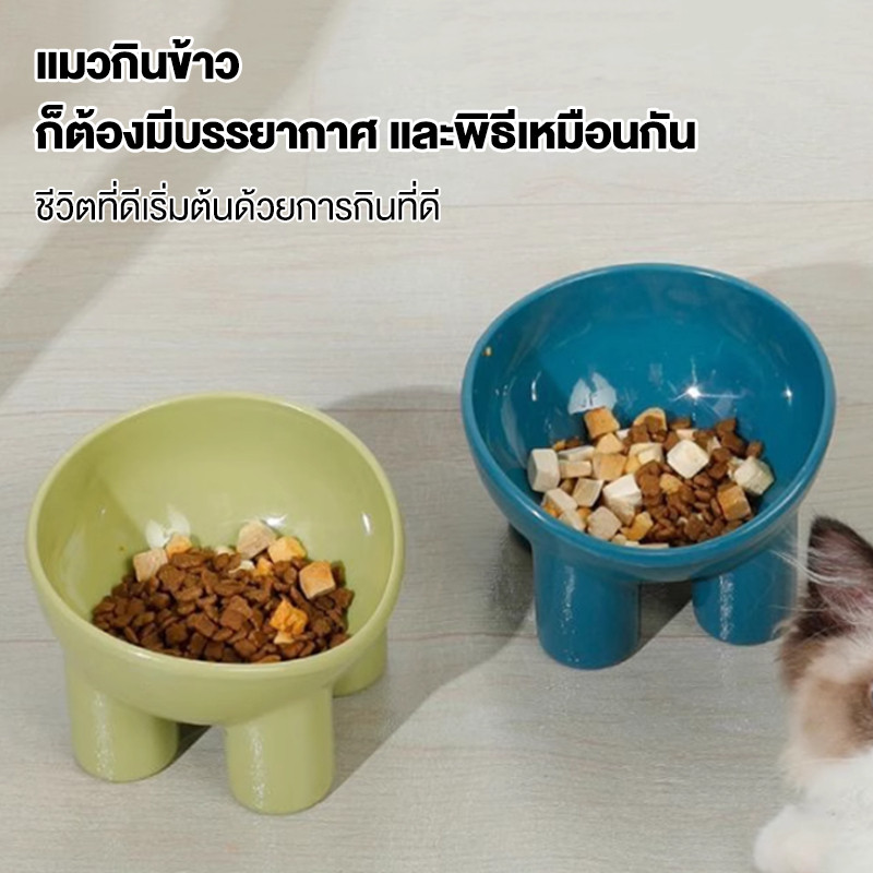 ชามอาหารสัตว์ ทรงเอียง เอียง 15 องศา สำหรับสัตว์เลี้ยง ชามแมว ชามกันมด อุปกรณ์ให้อาหารสัตว์ ชามใส่อาหารสำหรับสัตว์เลี้ยง