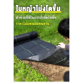 COD พลาสติกคลุมดิน ผ้าคลุมหญ้า พลาสติกคลุมวัชพืช กำจัดวัชพืช ผ้าคลุมวัชพืช พลาสติกเกรดส่งออก ผสมUV ฆ่าหญ้า เห็นผลไวถายใน