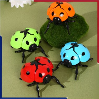 ของเล่นไขลานรูปเต่าทอง แบบจำลองเต่าทอง เหมาะเป็นการเล่นบทบาท…