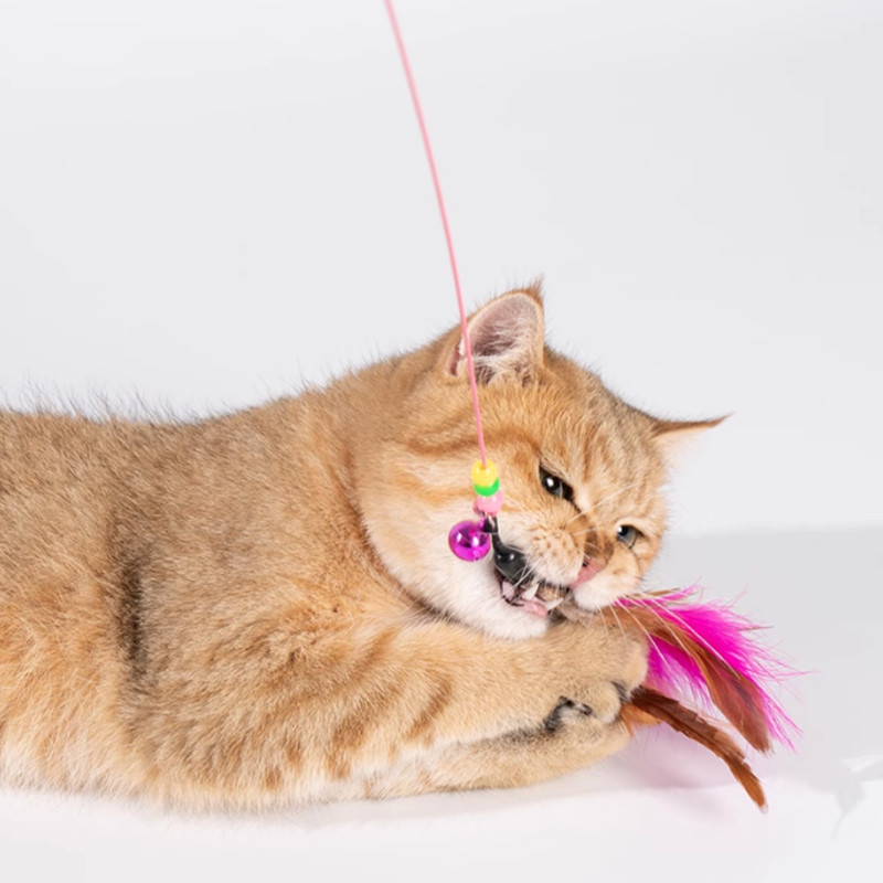 ของเล่นแมว ไม้แกล้งแมว ไม่หลุดง่าย มีกระดิ่ง เปลี่ยนขนได้ ล่อแมว ของเล่นแมว ของเล่นด้ามยาว เชือกแมว ไม้แกล้งแมว - รูปที่ 6