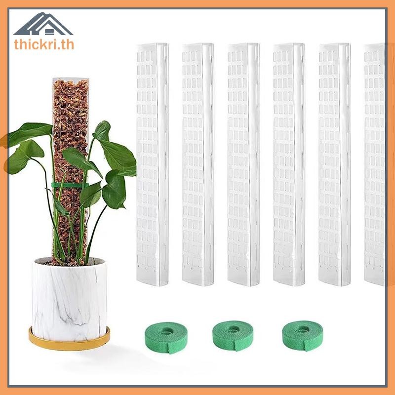 TT 2/4/6 ชิ้นพืชปีนเขาน้ํา Moss คอลัมน์ในร่ม Moss Pole พืชเสาพลาสติกสําหรับ Sphagnum สนับสนุนกระถางต