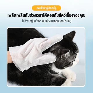 ถุงมือทำความสะอาดสัตว์เลี้ยงลดกลิ่นสาปถุงมือเช็ดตั ใช้งานง่าย ทิชชู่เปียกเช็ดตัว เช็ดแมว ทิชชู่เปียกเช็ด ทิชชู่เปียกหมา