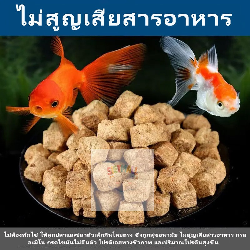 ก้อนกุ้งน้ำเกลือ ก้อนอาร์ทีเมียแห้งแช่แข็ง อาหารปลา อาหารปลาเขตร้อนในตู้ปลา อาหารปลาสวยงาม