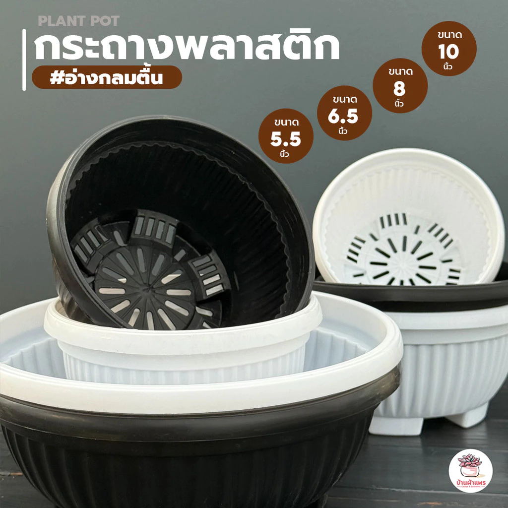 กระถาง #อ่างกลมตื้น 5 นิ้ว - 10 นิ้ว กระถางพลาสติก แคคตัส กระบองเพชร ไม้อวบน้ำ Cactus&Succulent