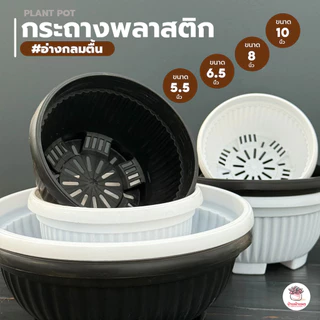กระถาง #อ่างกลมตื้น 5 นิ้ว - 10 นิ้ว กระถางพลาสติก แคคตัส กระบองเพชร ไม้อวบน้ำ Cactus&Succulent