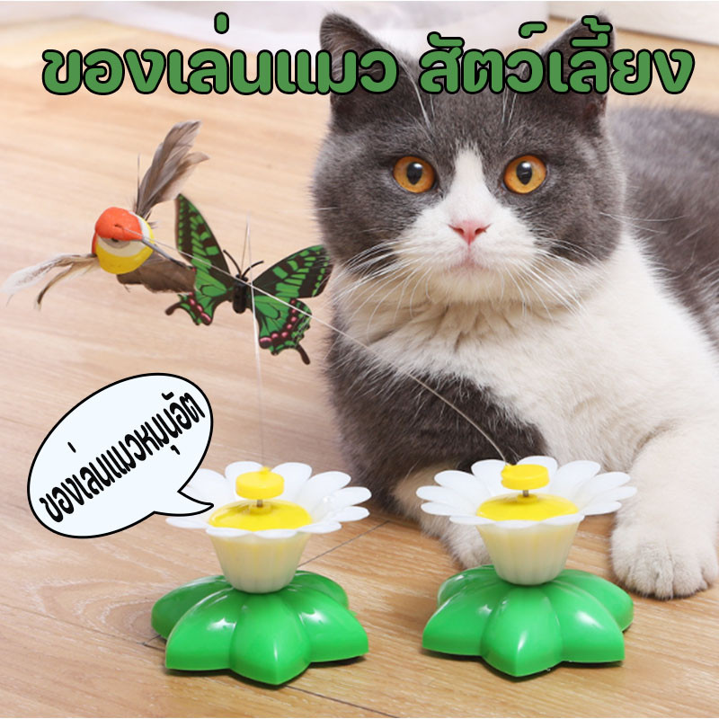 ของเล่นแมว สัตว์เลี้ยง หมุนได้ 360 องศา ของเล่นแมวผีเสื้อ ดอกไม้ไฟฟ้า นกบินและผีเสื้อรอบ