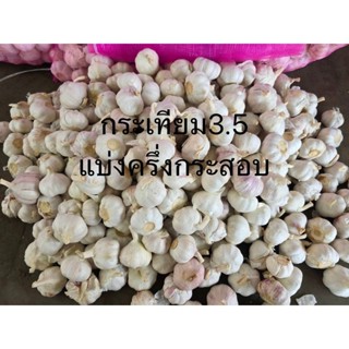 กระเทียมปิงปองหัว   ขนาด 3.5 เซน น้ำหนัก 4.5-5 กก. ( แบ่งครึ…
