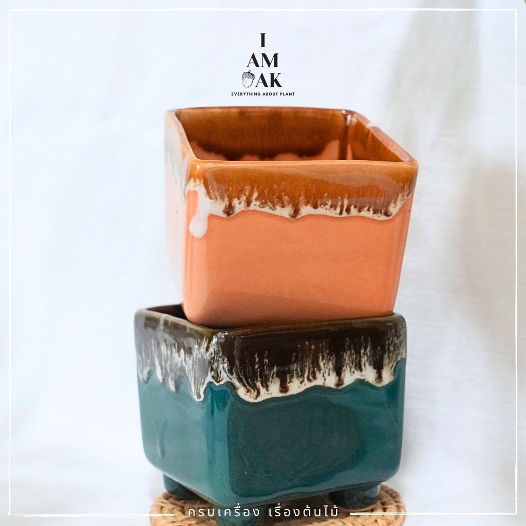 มุมมอง 2