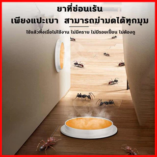 💥 100%ได้ผล 💥 เจลกำจัดมด กำจัดมด ยากำจัดมด 8 ชิ้น/กล่อง เป็นมิตรต่อคนและสัตว์เลี้ยงมาก เจลฆ่ามด ant killer