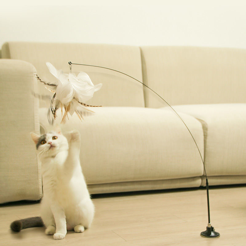 Teasing Cat Stick สําหรับเปลี่ยนหัวของเล่นแมว Feathers Interactive Self Hi อุปกรณ์สําหรับสัตว์เลี้ยงขายส่ง