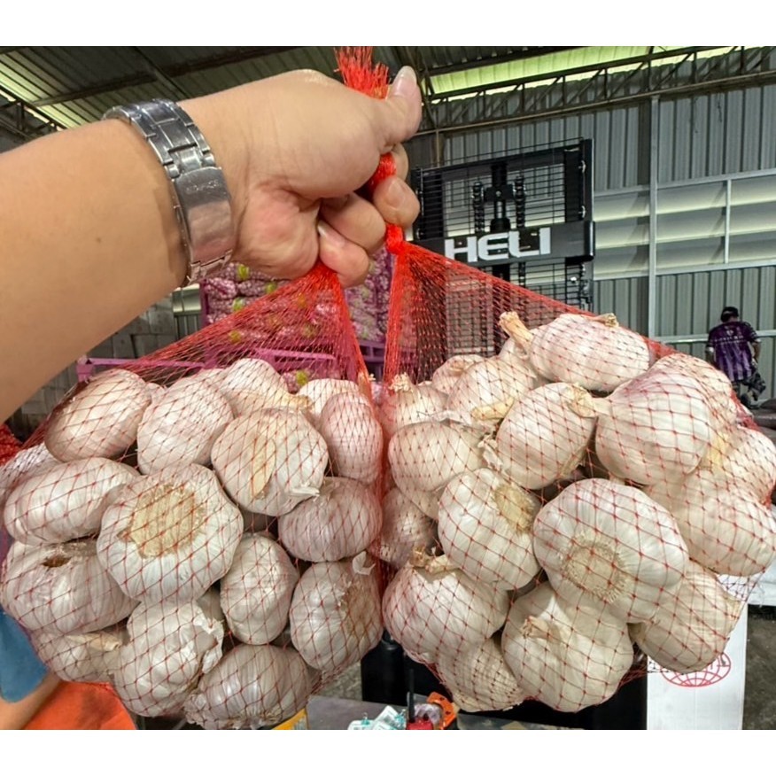 กระเทียมปิงปองหัว  ขนาด 5.0 เซน น้ำหนัก 1  กก.  ( คัดสวย)