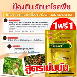 CODป้องกันโรคพริกเน่า วัคซีนพืช พริกเน่า ปรับปรุงพริก ใช้ป้องกันโรคเน่า โรคกุ้งแห้ง ผลเน่า โคนเน่า ใบหยิก ใบเหลือง