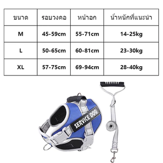 สายจูงสัตว์เลี้ยง เสื้อกั๊กสะท้อนแสง ขนาดเล็ก และกลาง ขนาดใหญ่ สามารถปรับได้ ป้องกันการหลุด