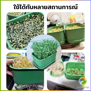 กล่องเพาะถั่วงอก ถาดเพาะต้นอ่อน ไม่ต้องใช้ดิน นำกลับมาใช้ใหม่ได้ 1ชุด bean sprouts tray