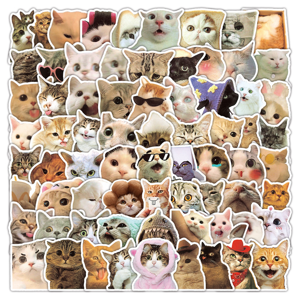 สติกเกอร์อิโมติคอนหน้าแมว น่ารัก (100 ชิ้น) | สติ๊กเกอร์กราฟฟิตีหัวลูกแมวขี้เล่น | เหมาะสําหรับวารสารโครงการ สเก็ตบอร์ด & ทําเอง | เพิ่มความน่ารักให้กับเกียร์ของคุณด้วยแมวตลก