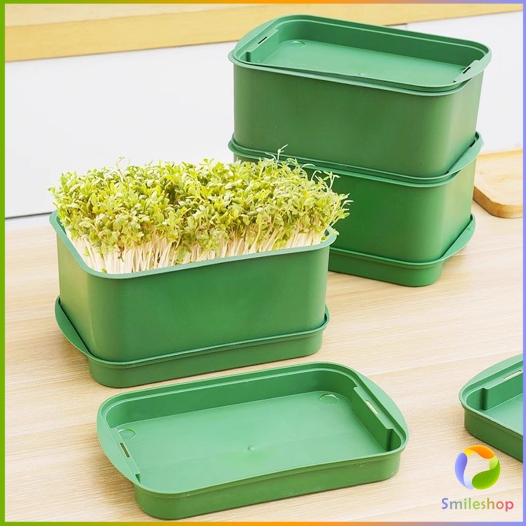 กล่องเพาะถั่วงอก ถาดเพาะต้นอ่อน  ไม่ต้องใช้ดิน นำกลับมาใช้ใหม่ได้ 1ชุด bean sprouts tray