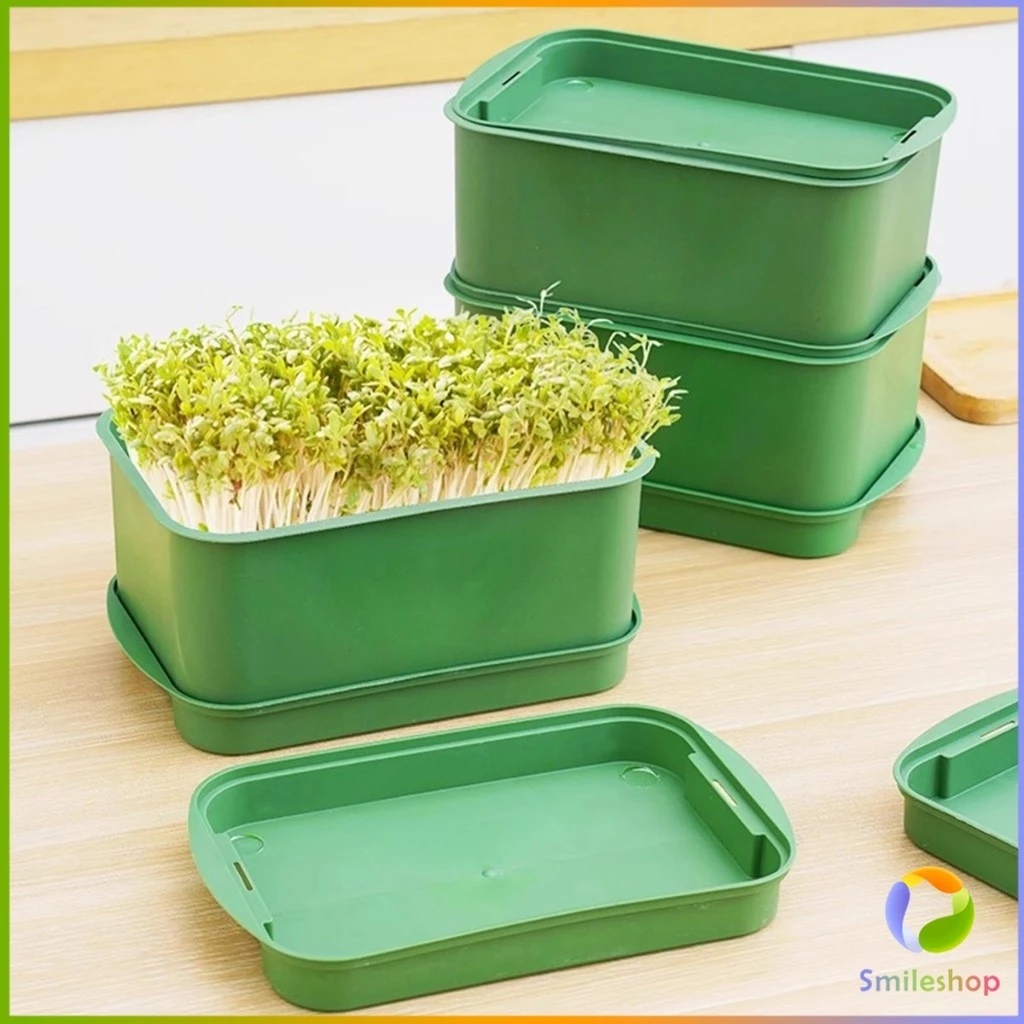 กล่องเพาะถั่วงอก ถาดเพาะต้นอ่อน ไม่ต้องใช้ดิน นำกลับมาใช้ใหม่ได้ 1ชุด bean sprouts tray