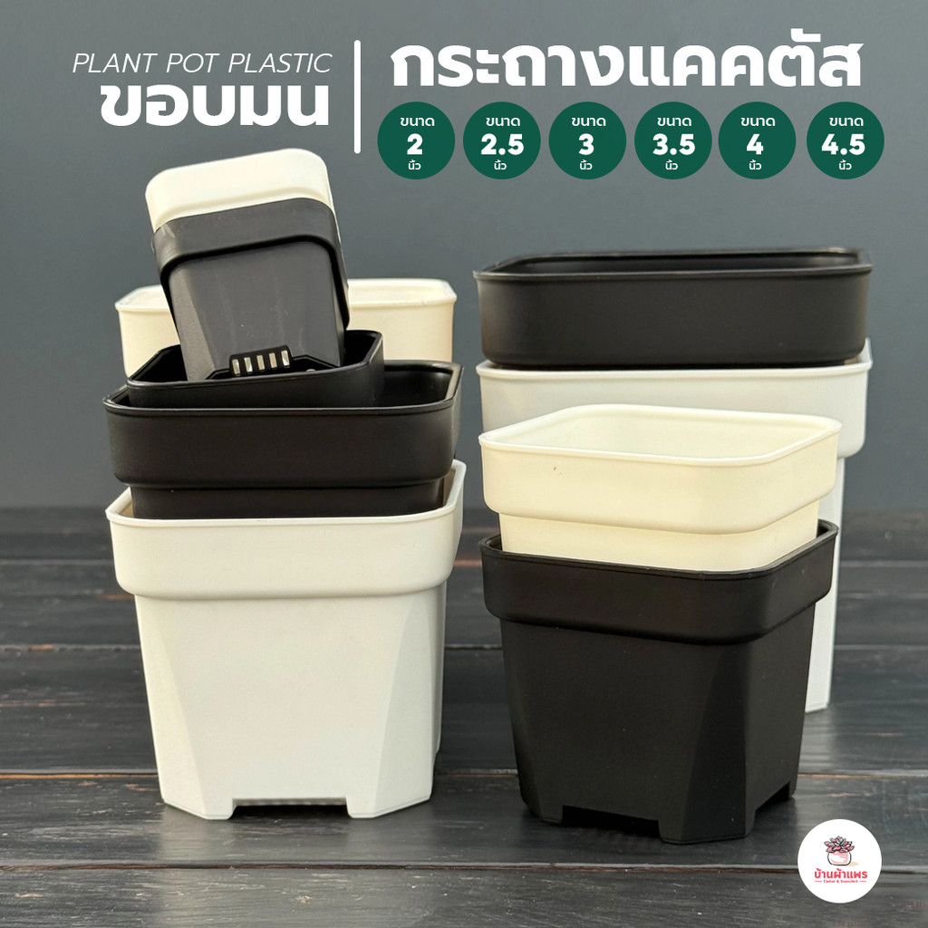 กระถางแคคตัส DP ขอบมน กระถางพลาสติก กระถางต้นไม้ กระบองเพชร ไม้อวบน้ำ Cactus&Succulent