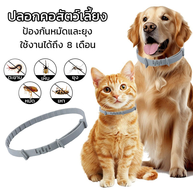 💫 ปลอกคอป้องกันหมัด 💫ปรับได้ ปลอกคอสัตว์เลี้ยง ปลอกคอกันเห็บ กําจัดเห็บและหมัด ใช้ได้นานถึง 8 เดือน กันน้ำได้