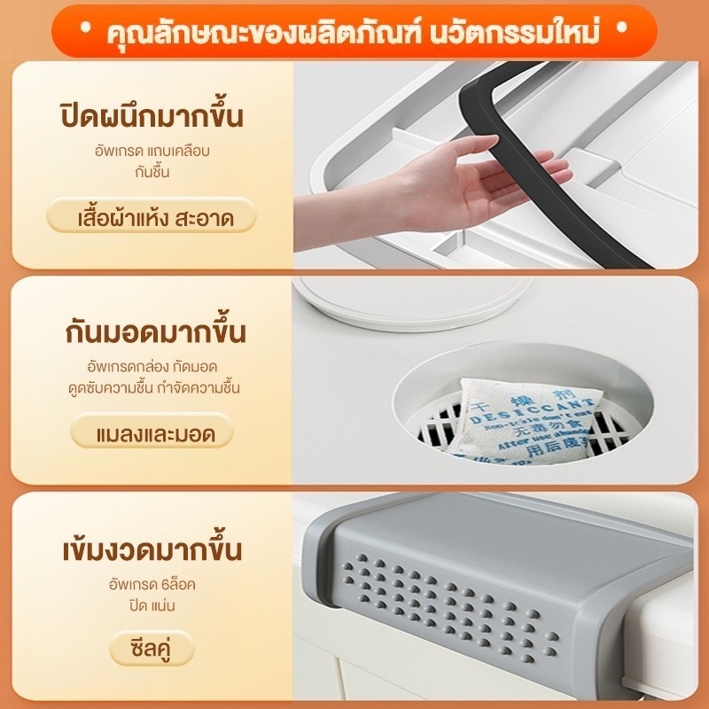 รูปภาพ 8