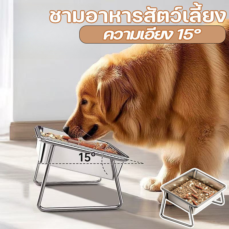 COD ชามอาหารสัตว์เลี้ยง 304 ชามแมวสแตนเลส ความเอียง 15° แข็งแรงและทนทาน ความจุขนาดใหญ่