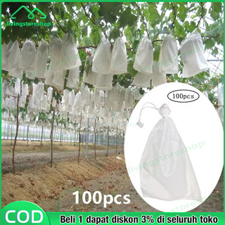200pcs Pembungkus Buah Tembus Pandang Fruit Cover Anggur Transparan Waterproof 20 x 30CM Kantong Jaring Pembungkus/Buah Anggur/ Klengkeng/ Strawberry Dll/Fruit Cover Size Jumbo