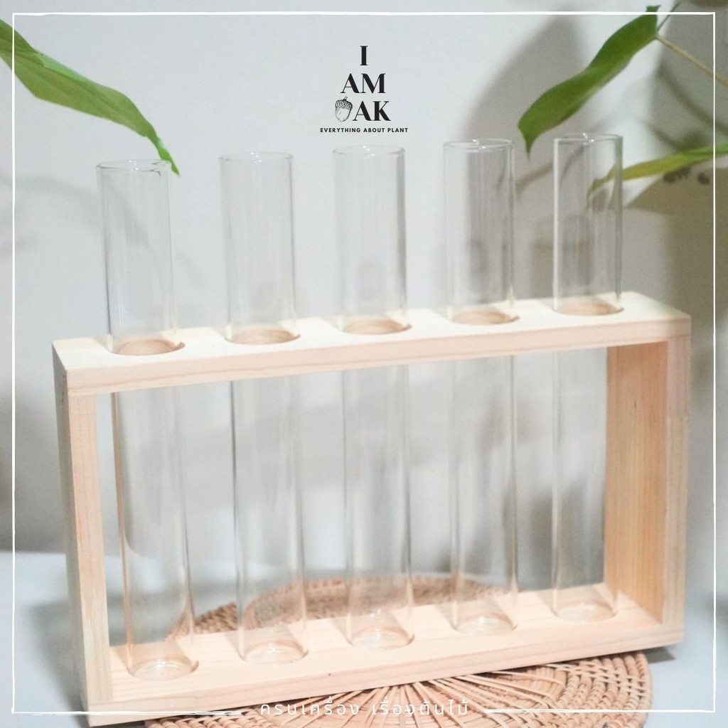 พร้อมส่งชุดหลอดแจกันแก้ว สำหรับปลูกไม้น้ำ 5 หลอด พร้อมแท่นวาง