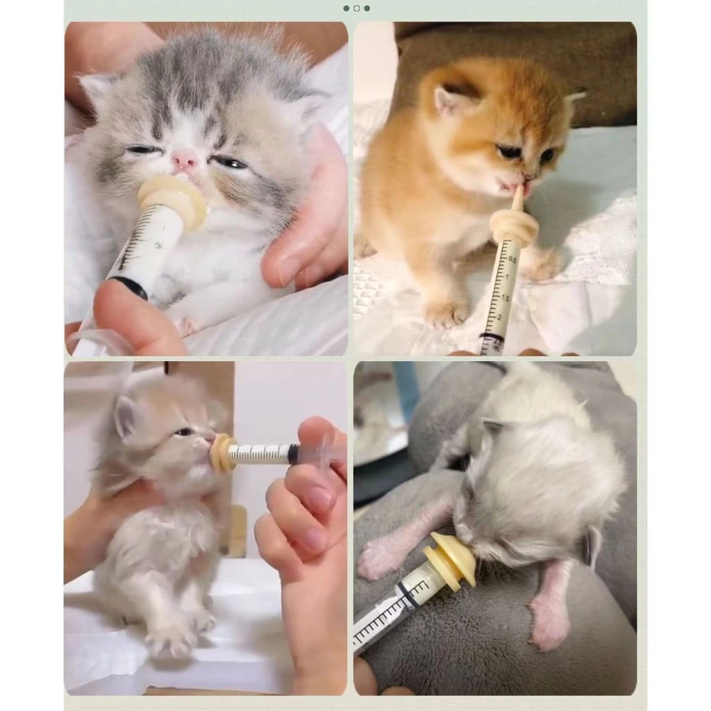 จุกนมซิลิโคน มินิ สำหรับลูกแมว-ลูกสุนัข-ลูกกระต่าย แรกเกิด thumbnail 9