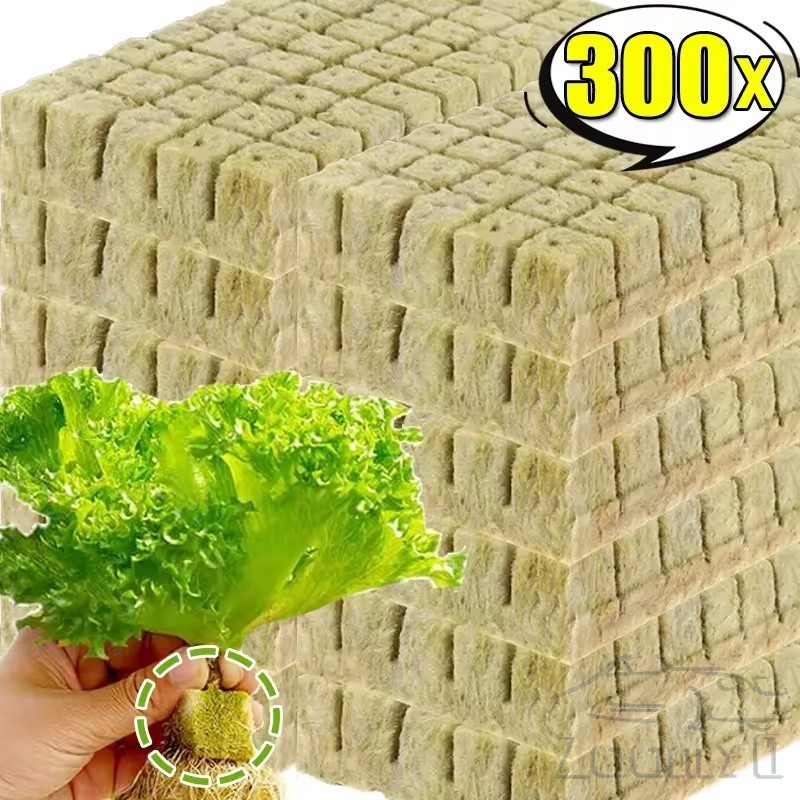 50-300 ชิ้นปลูกฟองน้ํา Rock Wool Starter Plugs - Hydroponic Grow Media Cubes - บ้านเรือนกระจกสวนอุปกรณ์