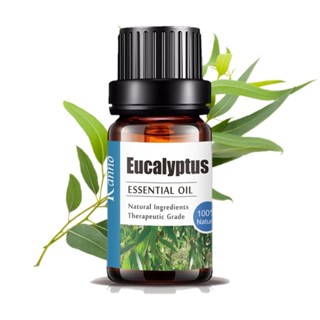 Aliztar 100% Pure Eucalyptus Essential Oil 10 มิล.น้ำมันหอมร…