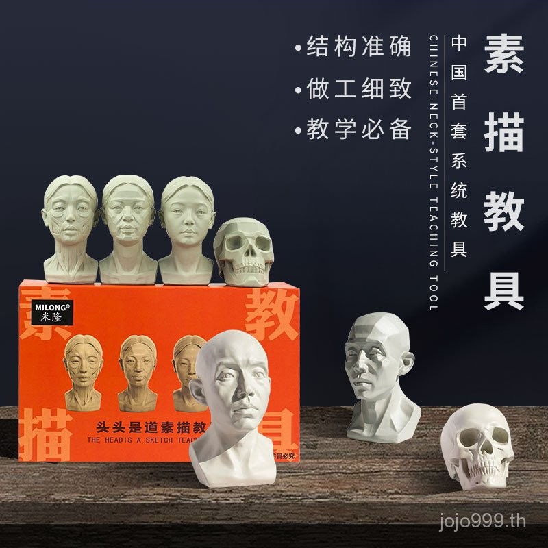 หัวกะโหลกเรซินมิรอน อุปกรณ์ช่วยสอนการวาดภาพ โมเดลประติมากรรมบล็อก หัวมนุษย์ หัวหนุ่ม การแสดงปูนปลาสเตอร์