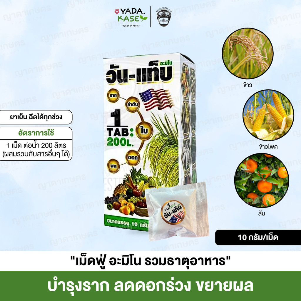 🌤 วันแท็บ อะมิโน เม็ดฟู่ สูตรเข้มข้น ขยายขนาดผล ลูกดก ลูกใหญ่ ลูกเยอะ ผลผลิตดี 10 กรัม / ไบค์เกอร์