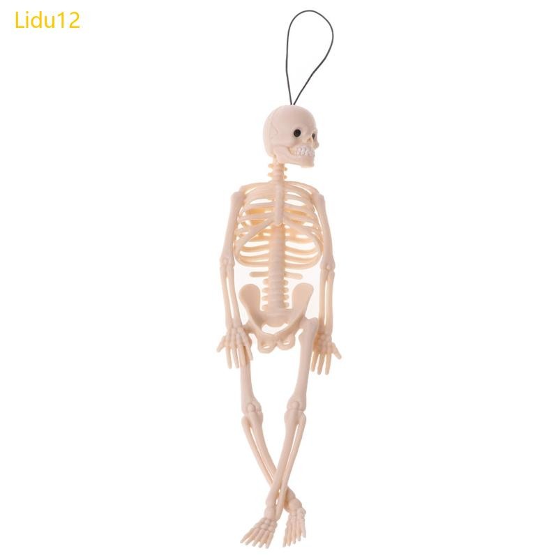 Lidu12 7 87x1 77 Study Cafe เครื่องประดับตกแต่งโครงกระดูกมนุษย์ตกแต่งบ้านโครงกระดูก Ghost Handsize อ