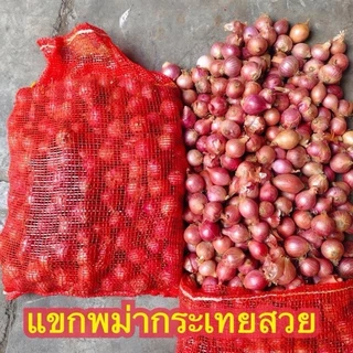 หอมแขกพม่า ไซส์กระเทย น้ำหนัก 5 กิโลกรัม