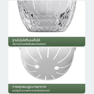 กระถาง​แบบใส กระถางต้นไม้ไฮโดรโปนิกส์ อัตโนมัติน้ํา สก์ท็อปก Mini Succulent Planter แจกันตั้งโต๊ะ ไม่ต้องรดน้ำเอง