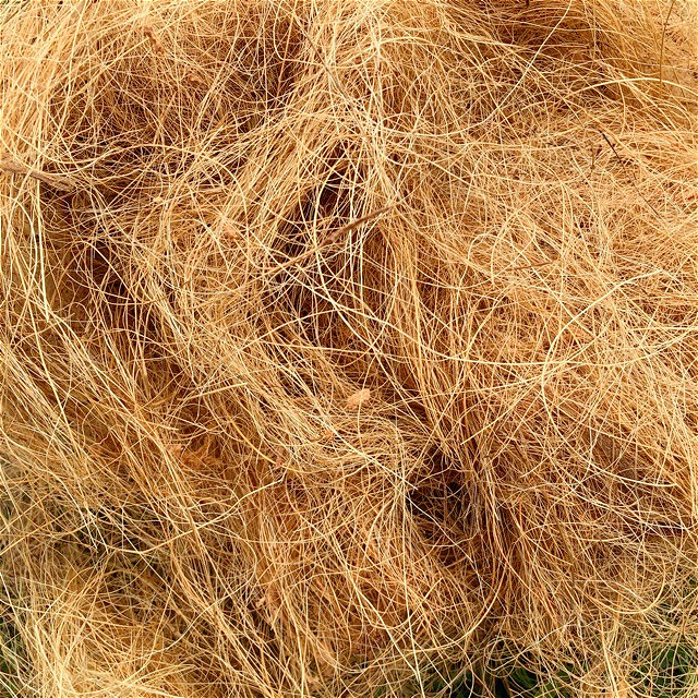 ใยมะพร้าว 900g. สำหรับปลูกต้นไม้ / ใช้ผสมปูนได้ทุกชนิด เส้นใยมะพร้าว coconut fiber ใยมะพร้าวแห้งคลุมดิน เปลือกมะพร้าว
